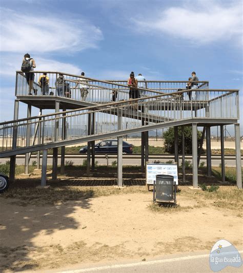 el mirador del prat|Mirador de aviones del Prat